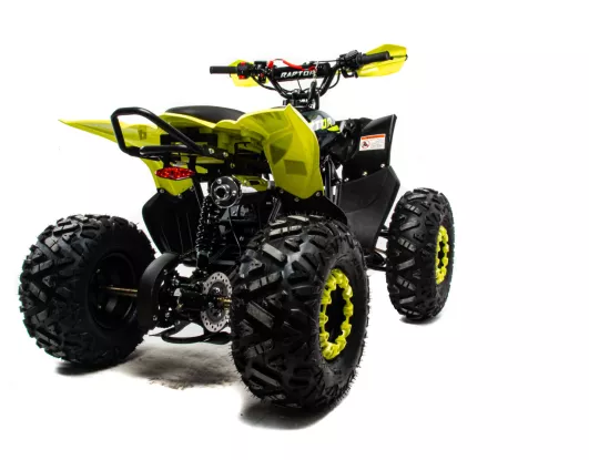 Квадроцикл MOTOLAND (МОТОЛЕНД) 125 RAPTOR A