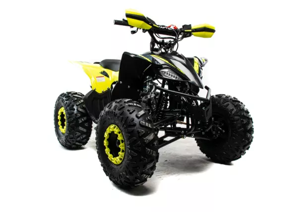 Квадроцикл MOTOLAND (МОТОЛЕНД) 125 RAPTOR A