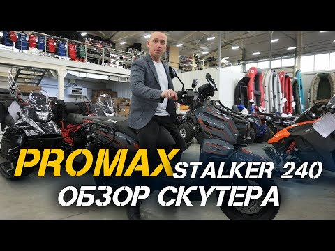 ОБЗОР скутера PROMAX STALKER 240 от сети мотосалонов X-MOTORS