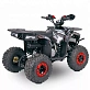 Квадроцикл  YACOTA SIRIUS 110			 			