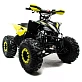 Квадроцикл MOTOLAND (МОТОЛЕНД) 125 RAPTOR A