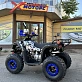 Квадроцикл PROMAX FOREST 180