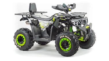 Квадроцикл PROMAX WILD 300 LUX