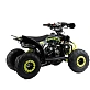 Квадроцикл MOTOLAND (МОТОЛЕНД) 110 RAPTOR A