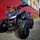 Квадроцикл MOTOLAND (МОТОЛЕНД) 125 COYOTE PRO