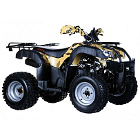  Запчасти для квадроцикла IRBIS ATV 150U LUX