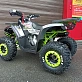 Квадроцикл PROMAX STORM 190 LUX