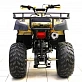 Квадроцикл PROMAX ATV 300
