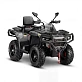 Квадроцикл AODES Pathcross ATV650L 2026г.