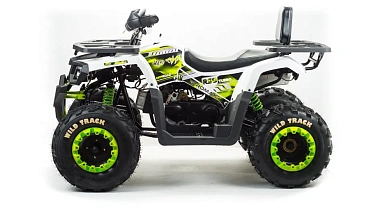 Квадроцикл PROMAX WILD 300 LUX