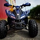 Квадроцикл MOTOLAND (МОТОЛЕНД) 125 COYOTE PRO