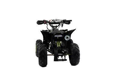 Квадроцикл MOTOLAND (МОТОЛЕНД) 110 RAPTOR A