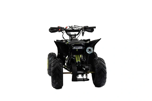 Квадроцикл MOTOLAND (МОТОЛЕНД) 110 RAPTOR A