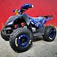Квадроцикл MOTOLAND (МОТОЛЕНД) 125 COYOTE PRO