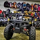 Квадроцикл PROMAX ATV 300