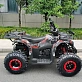 Квадроцикл MOTAX GRIZLIK T 200 LUX