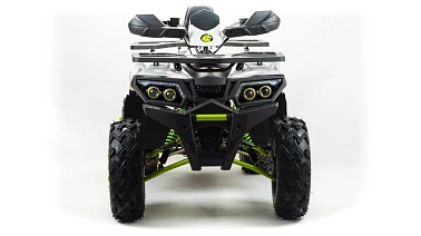 Квадроцикл PROMAX WILD 300 LUX