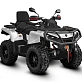 Квадроцикл AODES Pathcross ATV1000L EPS 2025г.