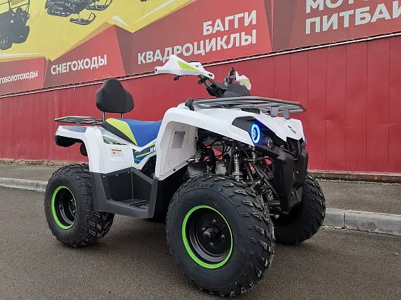 Квадроцикл PROMAX RENEGADE 280 LUX