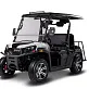 Мотовездеход (UTV/БАГГИ) AODES 300-10 Golf