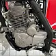 Кроссовый мотоцикл PITONMOTO MX4 PR300 21/18