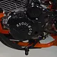 Мотоцикл Regulmoto ATHLETE PRO 300 (4 valves) 6 передач