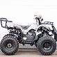 Квадроцикл STALKER 125 Lux
