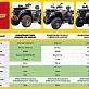 Квадроцикл Apollo Cybero 300 EFI 4WD