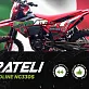 Кроссовый мотоцикл FRATELI HARDLINE NC330S WP